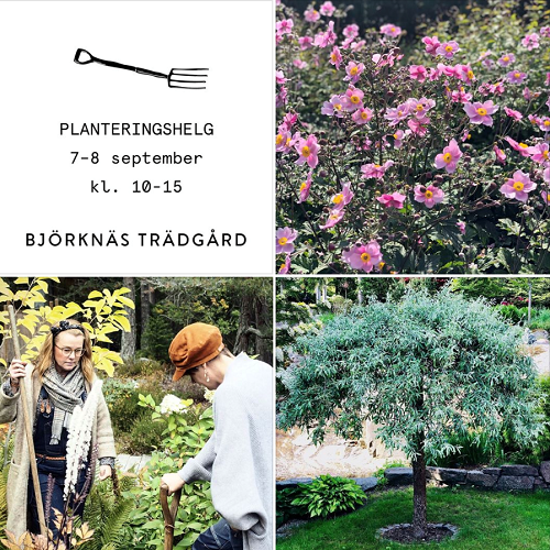 Planteringshelger i Björknäs Trädgård