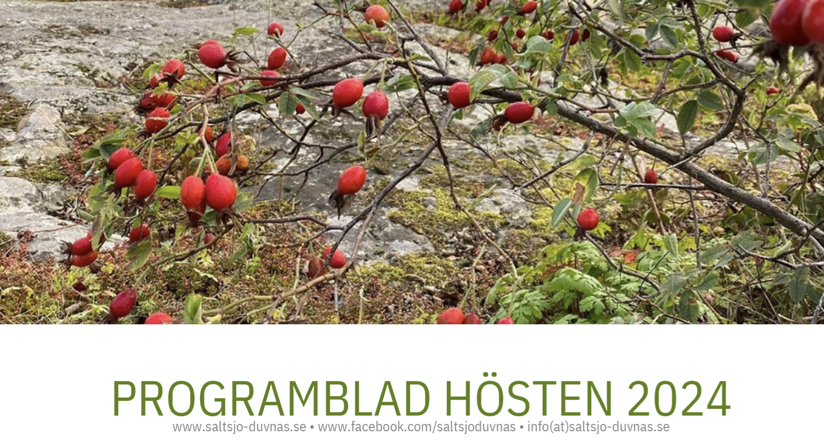 Programblad hösten 2024