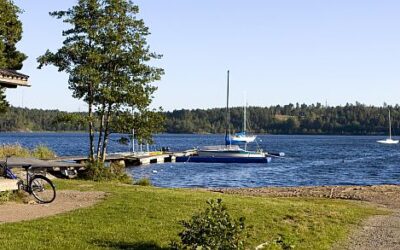 Ang ny detaljplan för Måsungen